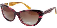 LINA LATINI POLARIZED 33047-838